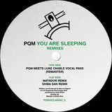 PQM - You Are Sleeping Remixes - Vinyl Label